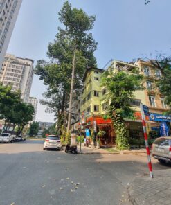 Nhà phố căn góc Phạm Văn Nghị, Phú Mỹ Hưng, Quận 7