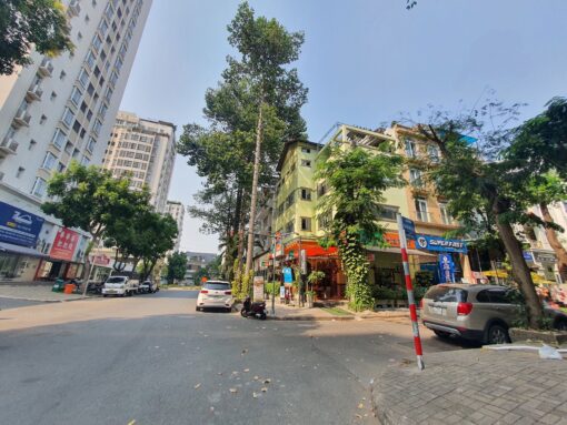 Nhà phố căn góc Phạm Văn Nghị, Phú Mỹ Hưng, Quận 7