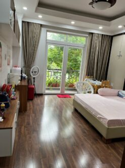 Nhà phố khu dân cư Sadeco ven sông, Quận 7