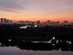 Căn hộ Riverside Residemce Phú Mỹ Hưng, Quận 7