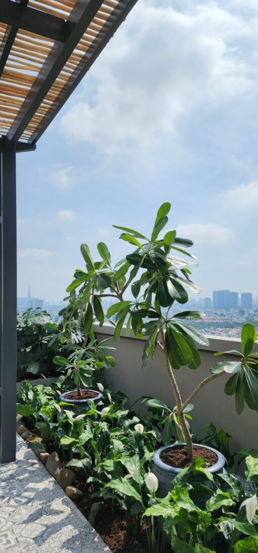 Penthouse Sky Garden 2 Phú Mỹ Hưng, Quận 7