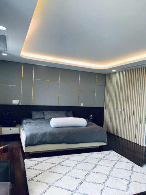 Penthouse Green View Phú Mỹ Hưng, Quận 7