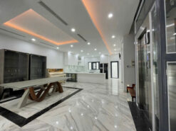 Biệt thự B64 Nam Thông 2 Phú Mỹ Hưng, Quận 7