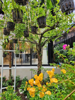 Biệt thự khu Cảnh Đồi Phú Mỹ Hưng, Quận 7