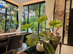 Biệt thự khu Cảnh Đồi Phú Mỹ Hưng, Quận 7