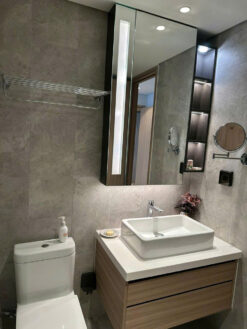 Căn hộ The Horizon Phú Mỹ Hưng, Quận 7