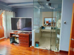 Nhà phố vườn Sadeco Ven Sông, Quận 7