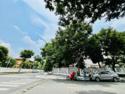 Biệt thự đơn lập Mỹ Tú 1 Phú Mỹ Hưng, Quận 7