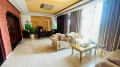 Biệt thự KDC Kiều Đàm, Phường Tân Hưng, Quận 7