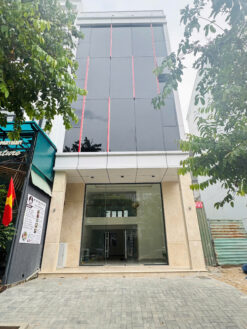 Nhà phố Cao Triều Phát, Hưng Phước 1, Phú Mỹ Hưng, Quận 7