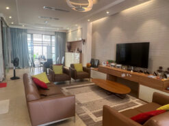 Biệt thự Nam Đô Phú Mỹ Hưng, Quận 7