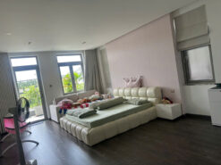 Biệt thự KDC Thái Sơn,Nguyễn Hữu Thọ, Nhà Bè