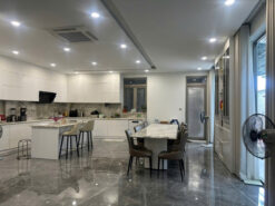 Biệt thự KDC Thái Sơn,Nguyễn Hữu Thọ, Nhà Bè