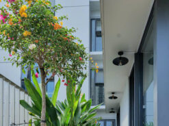 Căn hộ Cardinal Court Phú Mỹ Hưng, Quận 7