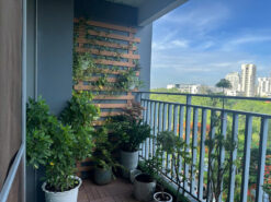 Căn hộ The View Riviera Point Quận 7