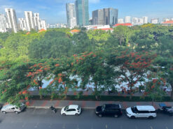 Căn hộ The View Riviera Point Quận 7