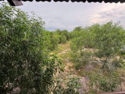 Nhà gỗ đường số 18 Hàm Tân, Lâm Đồng