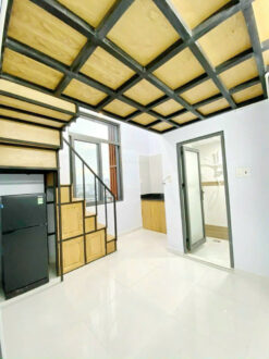 Tòa nhà căn hộ dịch vụ đường 45, Tân Quy, Quận 7