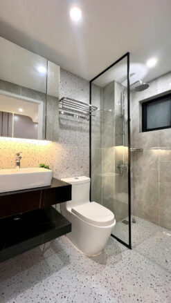 Căn hộ Hương Vượng 3 Phú Mỹ Hưng, Quận 7