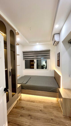 Căn hộ Hương Vượng 3 Phú Mỹ Hưng, Quận 7