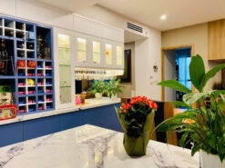 Căn hộ The View Riviera Point, Quận 7