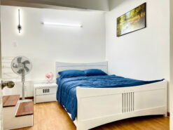 Căn hộ Hưng Vượng 3 Phú Mỹ Hưng, Quận 7