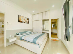 Căn hộ Hưng Vượng 3 Phú Mỹ Hưng, Quận 7