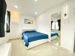 Căn hộ Hưng Vượng 3 Phú Mỹ Hưng, Quận 7