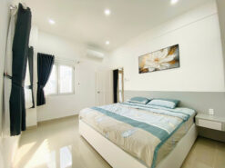 Căn hộ Hưng Vượng 3 Phú Mỹ Hưng, Quận 7