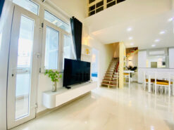 Căn hộ Hưng Vượng 3 Phú Mỹ Hưng, Quận 7