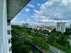 Căn hộ Hưng Vượng 3 Phú Mỹ Hưng, Quận 7