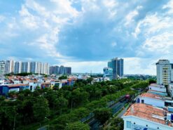 Căn hộ Hưng Vượng 3 Phú Mỹ Hưng, Quận 7