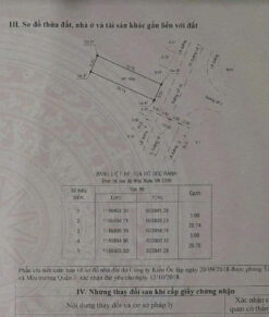 Đất nền khu dân cư Sadeco Quận 7