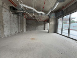 Shophouse The Horizon Phú Mỹ Hưng, Quận 7