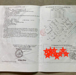 Tòa nhà mặt tiền Phan Bá Vành, Thạnh Mỹ Lợi, Quận 2