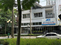 Biệt thự đường số 8 khu Ngân Long, Nhà Bè