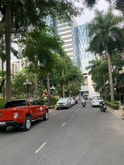 Biệt thự đường số 8 khu Ngân Long, Nhà Bè