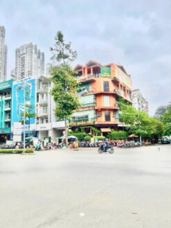 Nhà số 43-45 Nguyễn Thị Thập KDC Him Lam, Quận 7