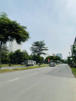 Nhà mặt tiền Nguyễn Văn Linh, Phú Mỹ Hưng, Quận 7