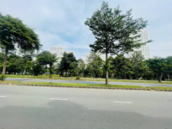 Nhà mặt tiền Nguyễn Văn Linh, Phú Mỹ Hưng, Quận 7