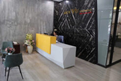 Nhà phố đường số 7 KDC Phú Mỹ, Quận 7