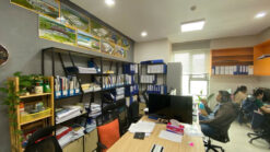 Căn hộ officetel Golden King Phú Mỹ Hưng, Phường Tân Mỹ (Quận 7)