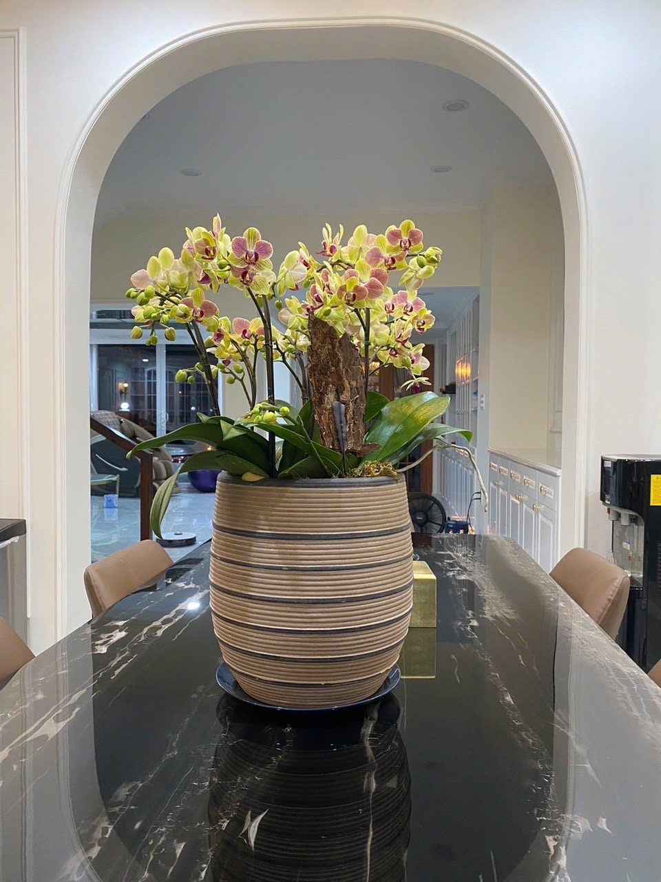 Biệt thự Mỹ Thái 1C Phú Mỹ Hưng, Quận 7