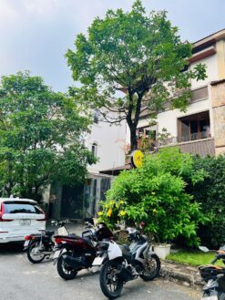 Biệt thự song lập 212 Mỹ Kim 2 Phú Mỹ Hưng, Quận 7