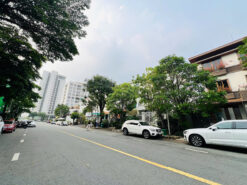 Biệt thự song lập 212 Mỹ Kim 2 Phú Mỹ Hưng, Quận 7