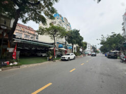 Đất mặt tiền Phan Khiêm Ích, Hưng Gia 2 Phú Mỹ Hưng, Quận 7