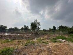 Đất mặt tiền Tam Thôn Hiệp và Sông Lòng Tàu, An Thới Đông, Cần Giờ