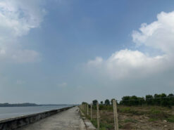 Đất mặt tiền Tam Thôn Hiệp và Sông Lòng Tàu, An Thới Đông, Cần Giờ