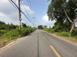 Đất mặt tiền Tam Thôn Hiệp và Sông Lòng Tàu, An Thới Đông, Cần Giờ