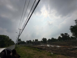 Đất mặt tiền Tam Thôn Hiệp và Sông Lòng Tàu, An Thới Đông, Cần Giờ